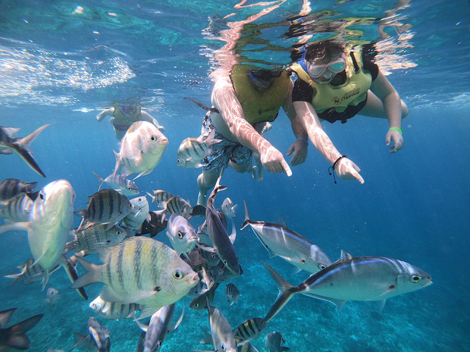 Combo Cielo + Clear Boat