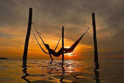 Holbox Bioluminiscencia