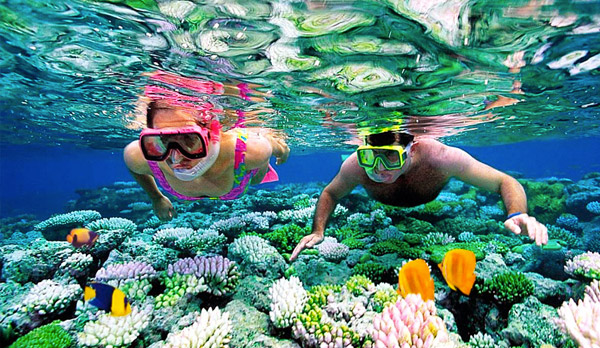 Tulum + Cenotes Casa Tortuga