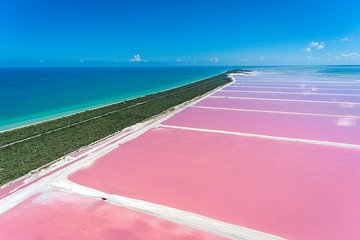 Las Coloradas + Rio Lagartos