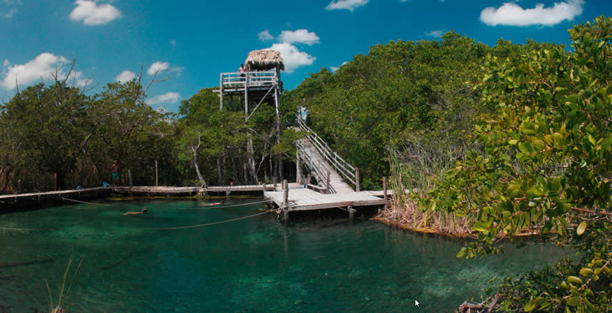 Holbox Bioluminiscencia