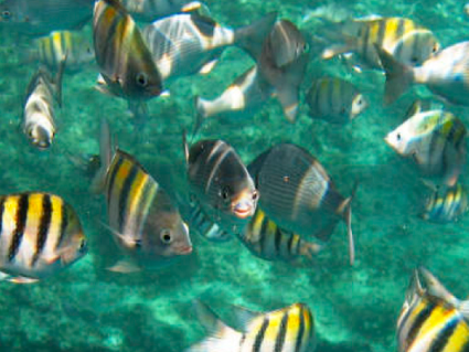 Sian Kaan Expedicion