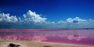 Las Coloradas + Rio Lagartos