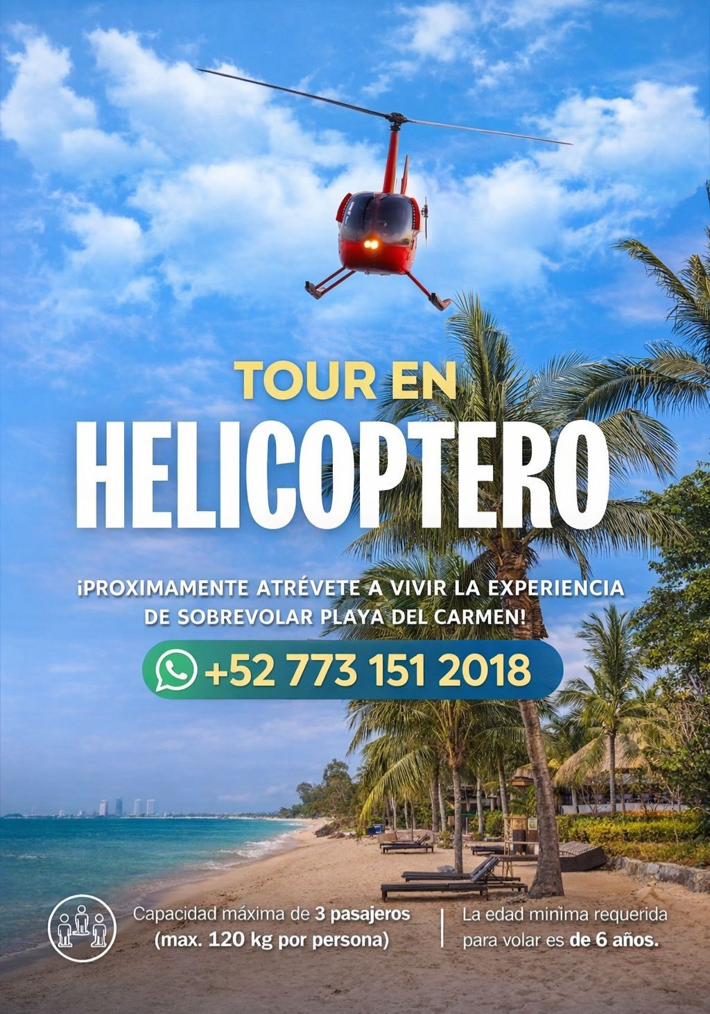 Tour en Helicóptero